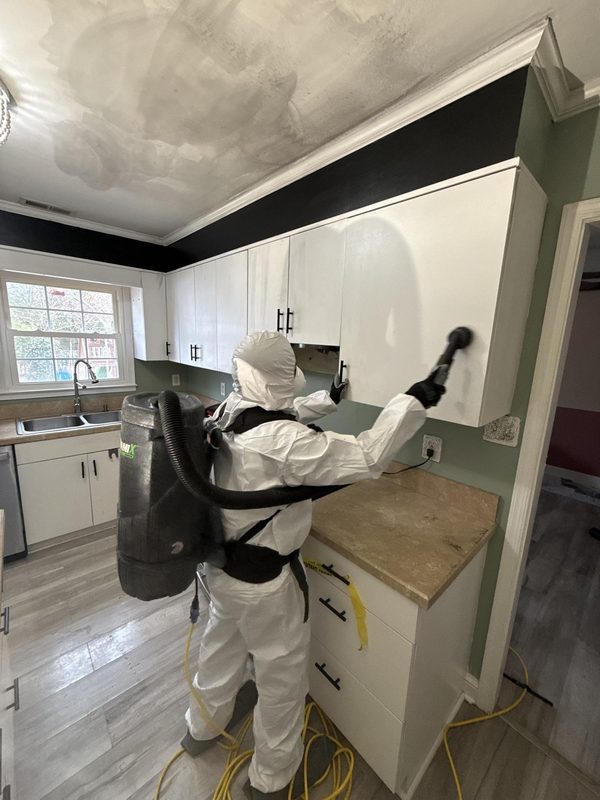 Mold Damage Remediation