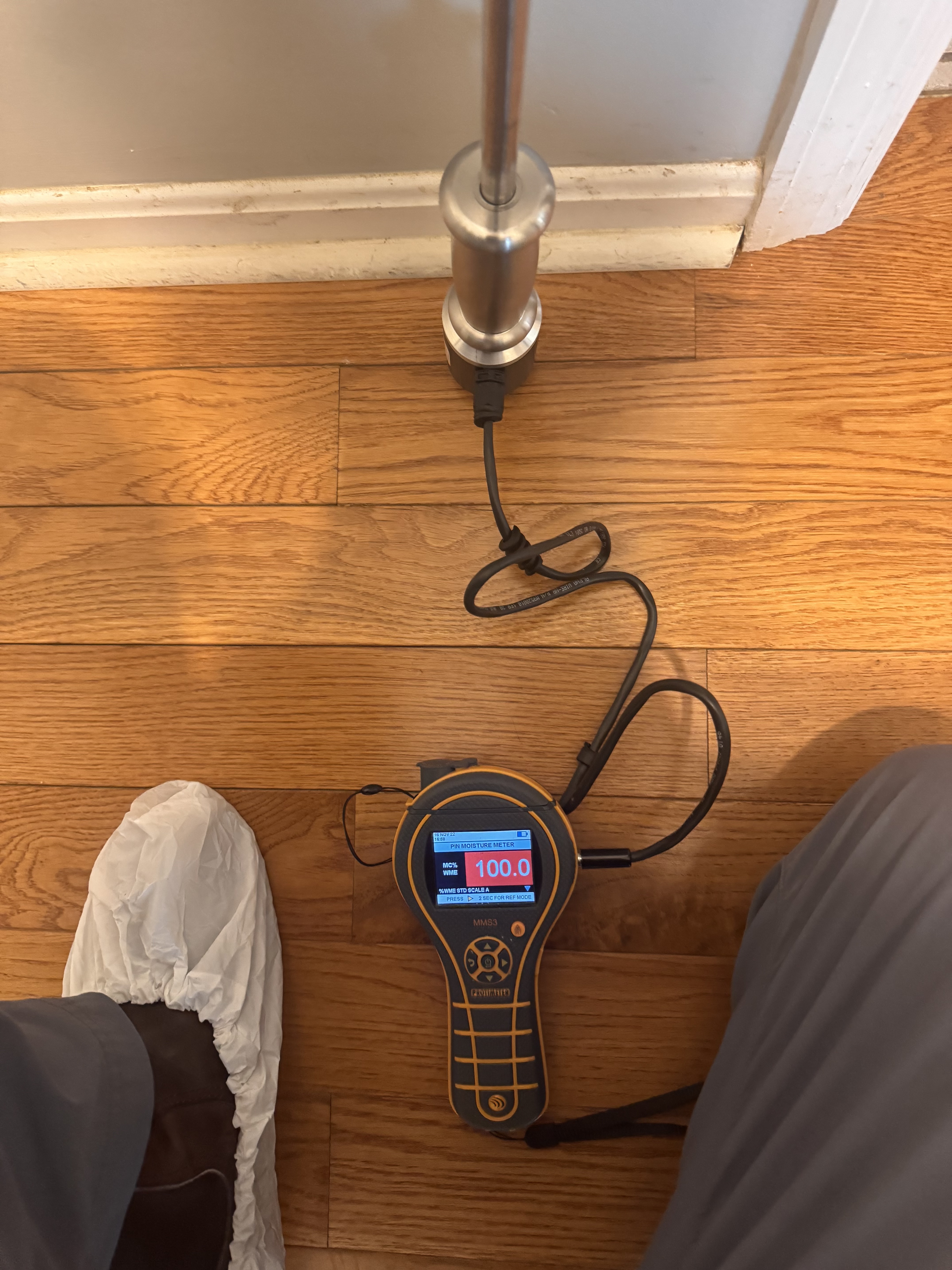IRS technician using moisture meter to map water damage in a Portland home