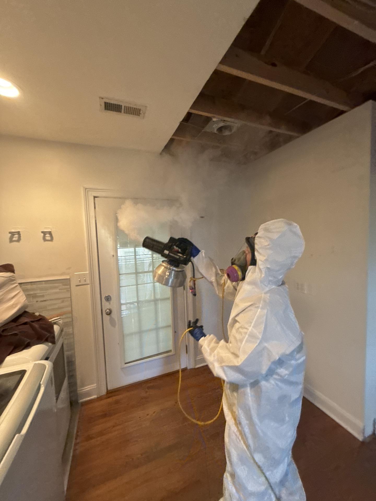 IRS technician fogging an area for mold remediation in Portland