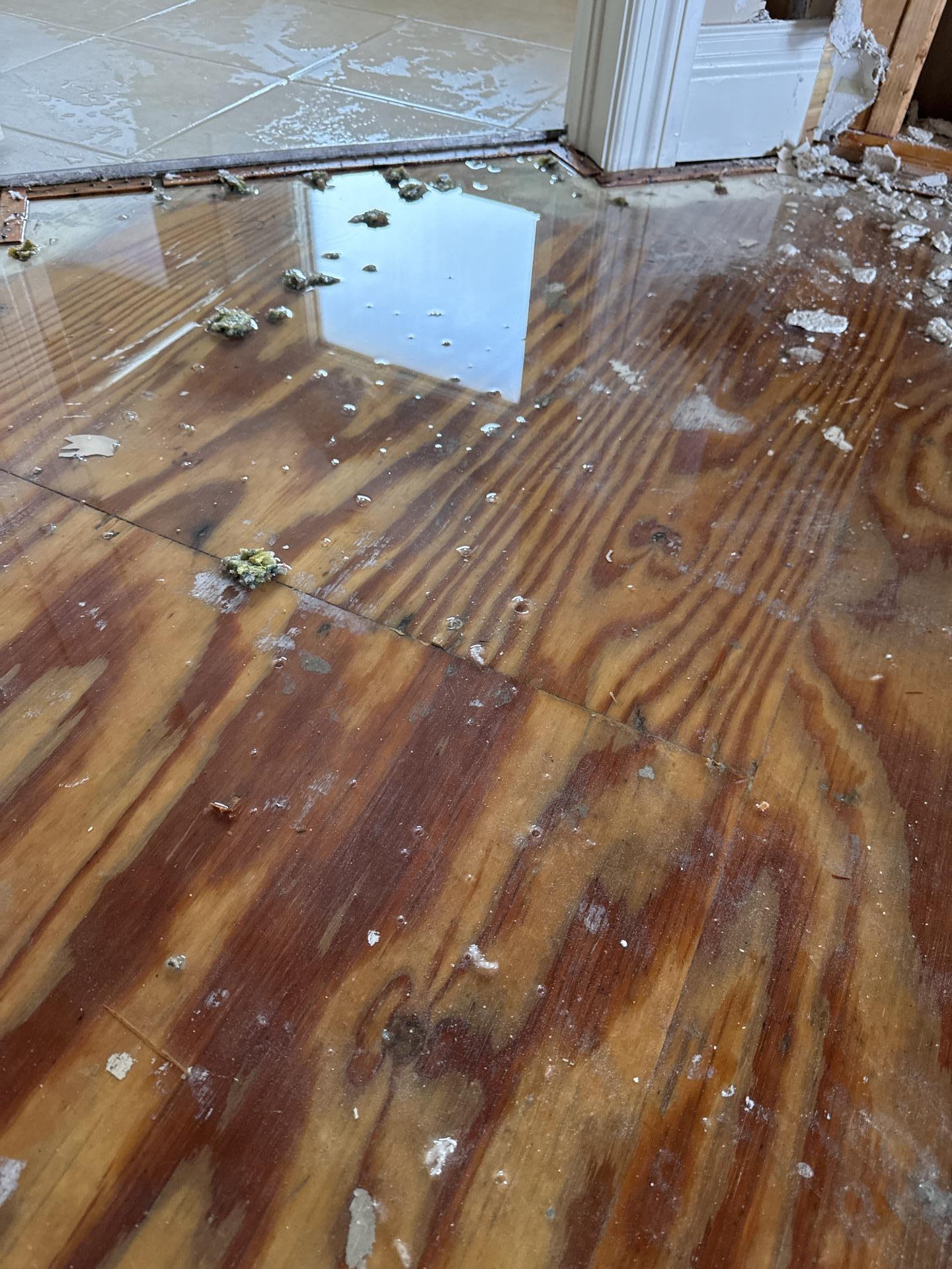 Standing water and damage on wood subfloor from storm intrusion in Portland