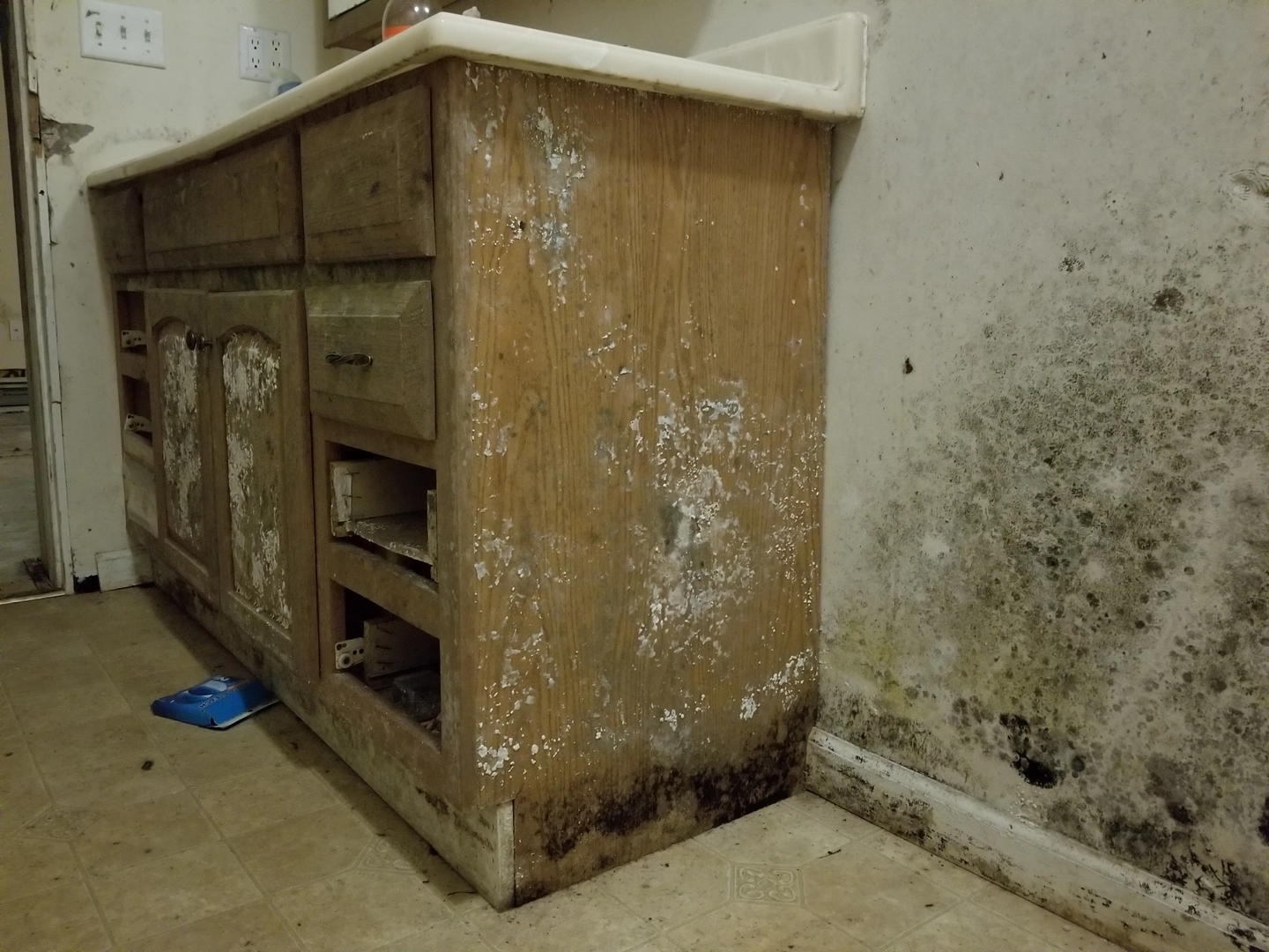 Extensive mold growth on kitchen cabinet and wall in a Portland home