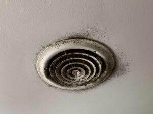 1619915804_IMG5380 copy Independent Restoration Services